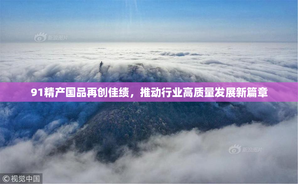 91精产国品再创佳绩，推动行业高质量发展新篇章