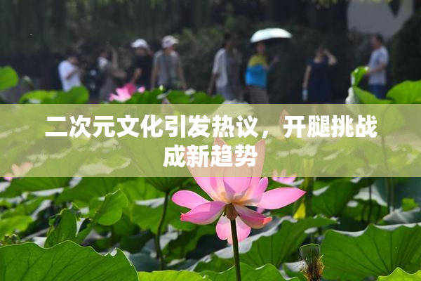 二次元文化引发热议，开腿挑战成新趋势