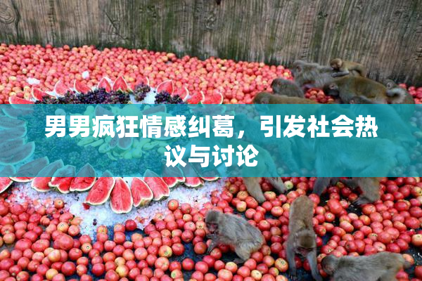 男男疯狂情感纠葛，引发社会热议与讨论