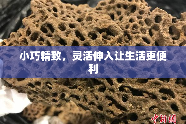 小巧精致，灵活伸入让生活更便利