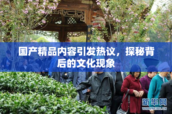 国产精品内容引发热议，探秘背后的文化现象