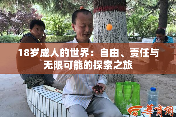 18岁成人的世界：自由、责任与无限可能的探索之旅