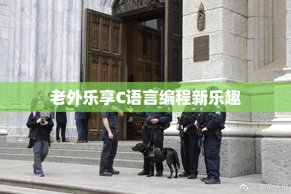 老外乐享C语言编程新乐趣