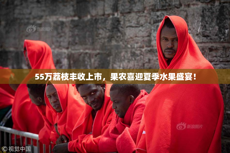 55万荔枝丰收上市，果农喜迎夏季水果盛宴！