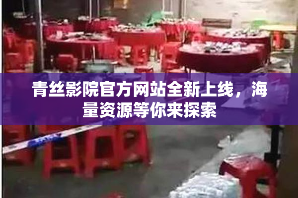 青丝影院官方网站全新上线，海量资源等你来探索