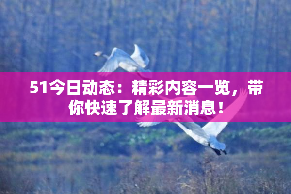 51今日动态：精彩内容一览，带你快速了解最新消息！