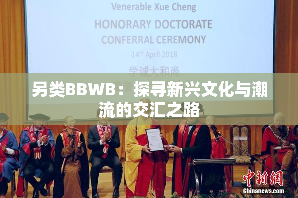 另类BBWB：探寻新兴文化与潮流的交汇之路