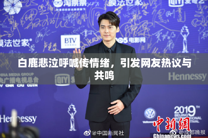 白鹿悲泣呼喊传情绪，引发网友热议与共鸣