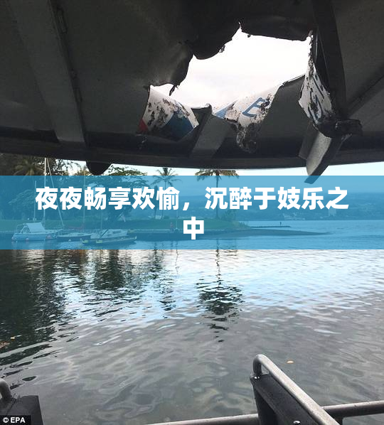夜夜畅享欢愉，沉醉于妓乐之中