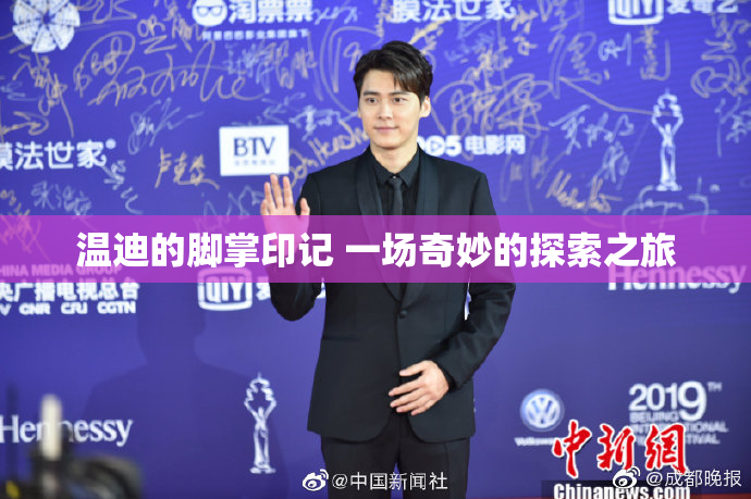 温迪的脚掌印记 一场奇妙的探索之旅