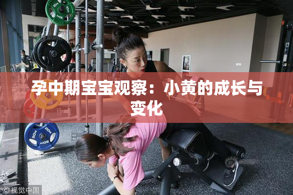 孕中期宝宝观察：小黄的成长与变化