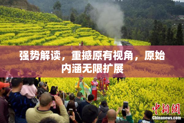 强势解读，重撼原有视角，原始内涵无限扩展