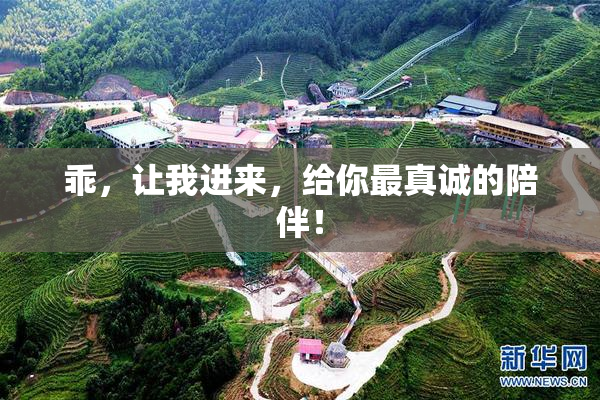 乖，让我进来，给你最真诚的陪伴！
