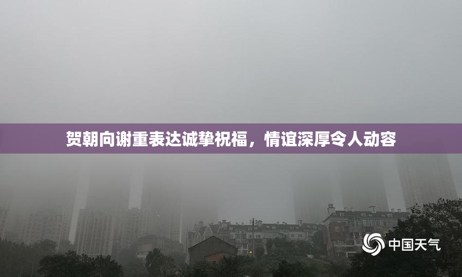贺朝向谢重表达诚挚祝福，情谊深厚令人动容