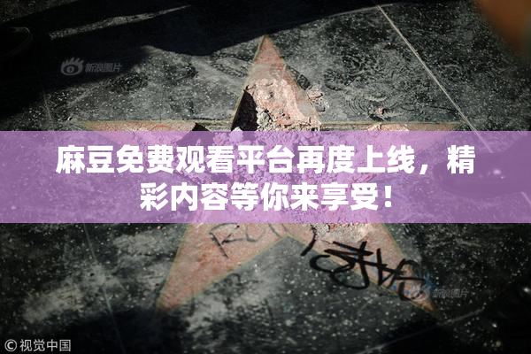 麻豆免费观看平台再度上线，精彩内容等你来享受！
