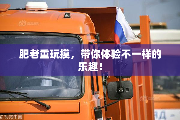 肥老重玩摸，带你体验不一样的乐趣！