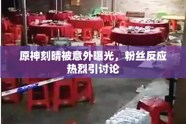 原神刻晴被意外曝光，粉丝反应热烈引讨论
