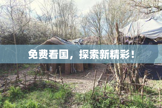 免费看国，探索新精彩！