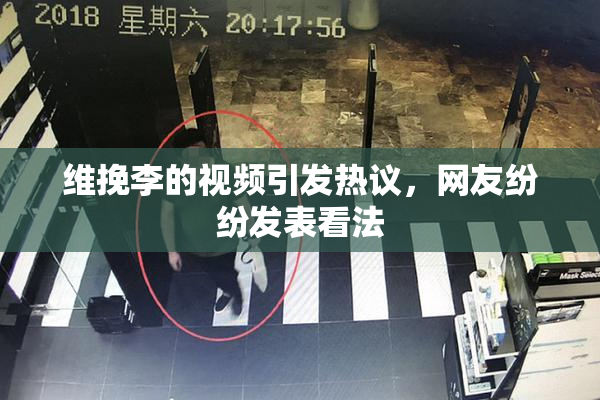 维挽李的视频引发热议，网友纷纷发表看法