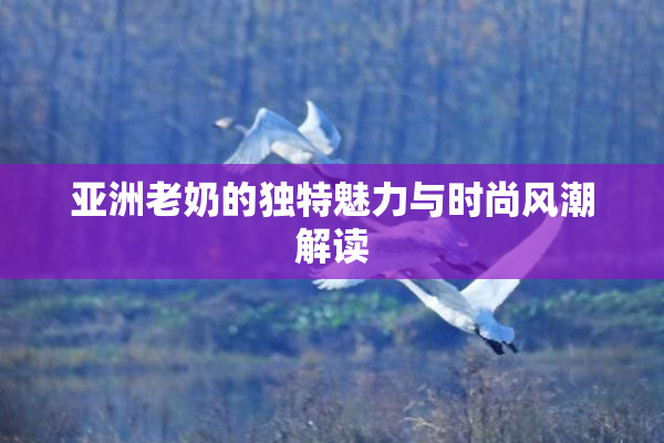 亚洲老奶的独特魅力与时尚风潮解读