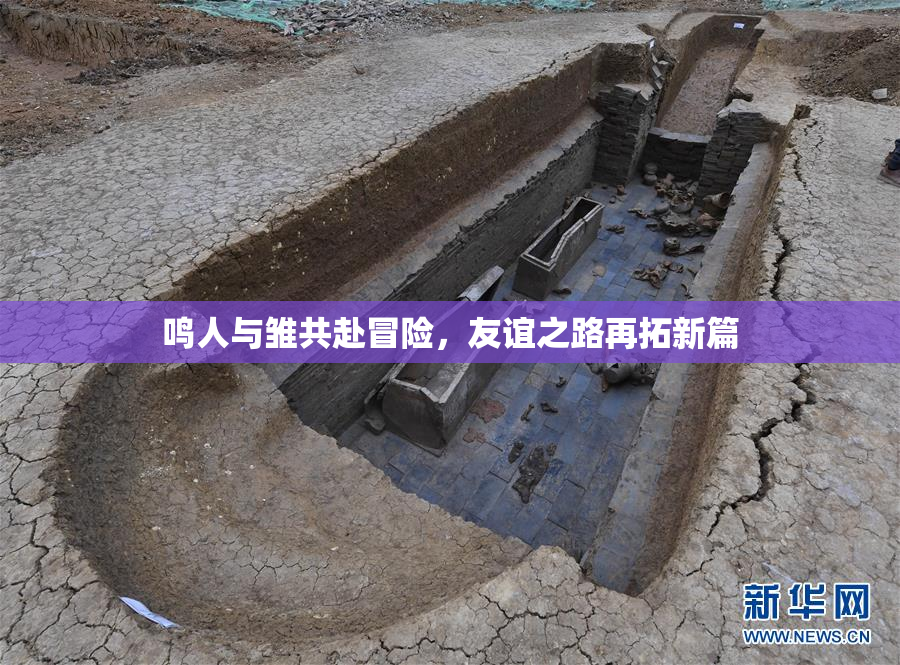鸣人与雏共赴冒险，友谊之路再拓新篇