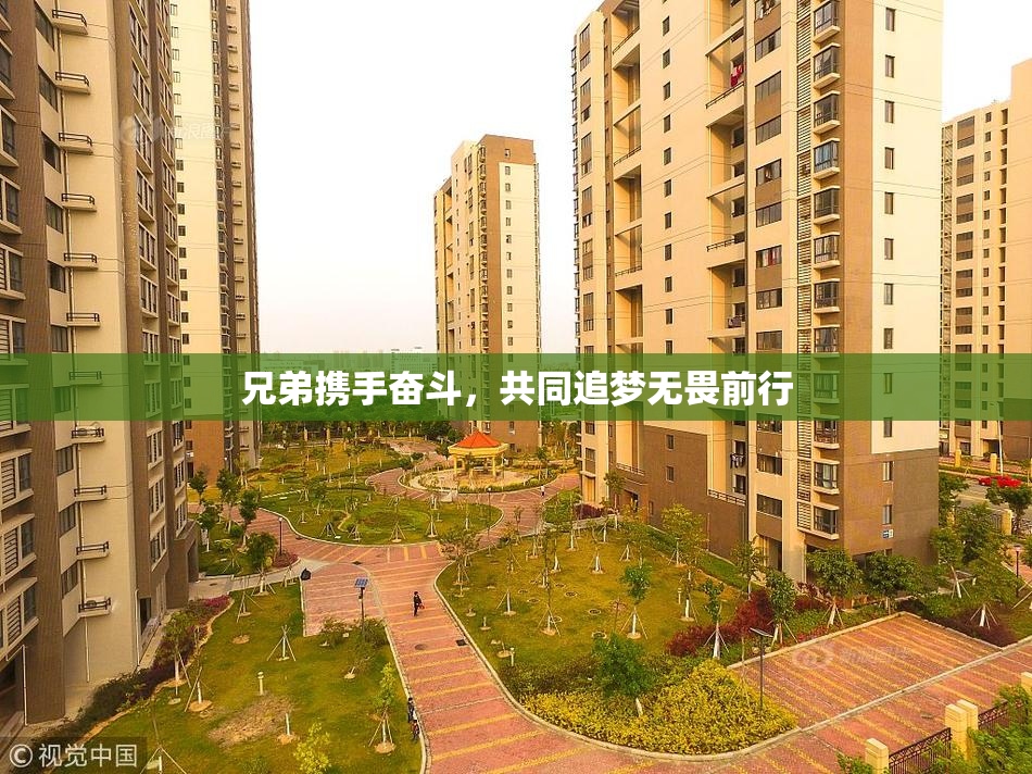 兄弟携手奋斗，共同追梦无畏前行