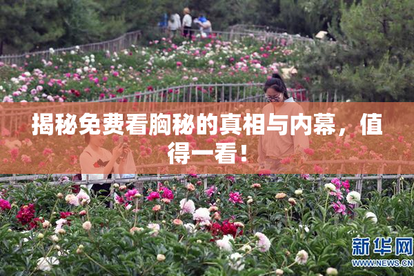 揭秘免费看胸秘的真相与内幕，值得一看！
