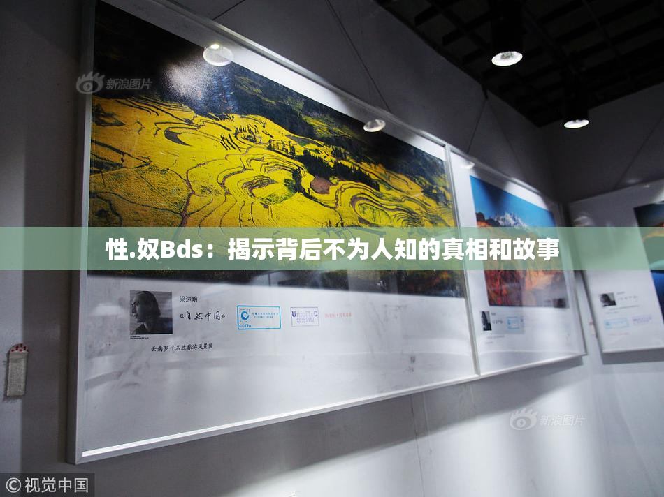 性.奴Bds：揭示背后不为人知的真相和故事