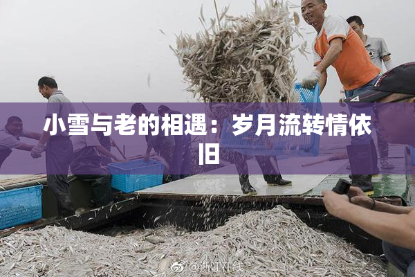 小雪与老的相遇：岁月流转情依旧
