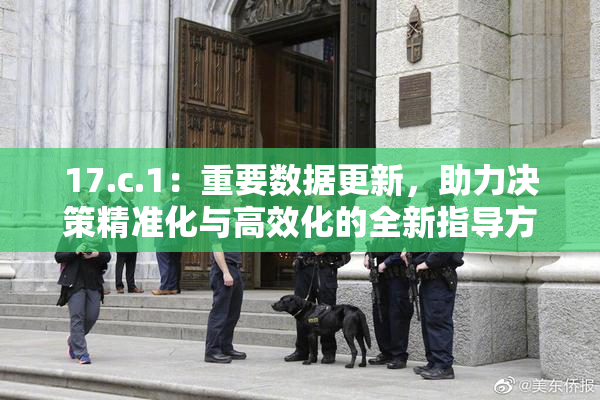 17.c.1：重要数据更新，助力决策精准化与高效化的全新指导方案出台