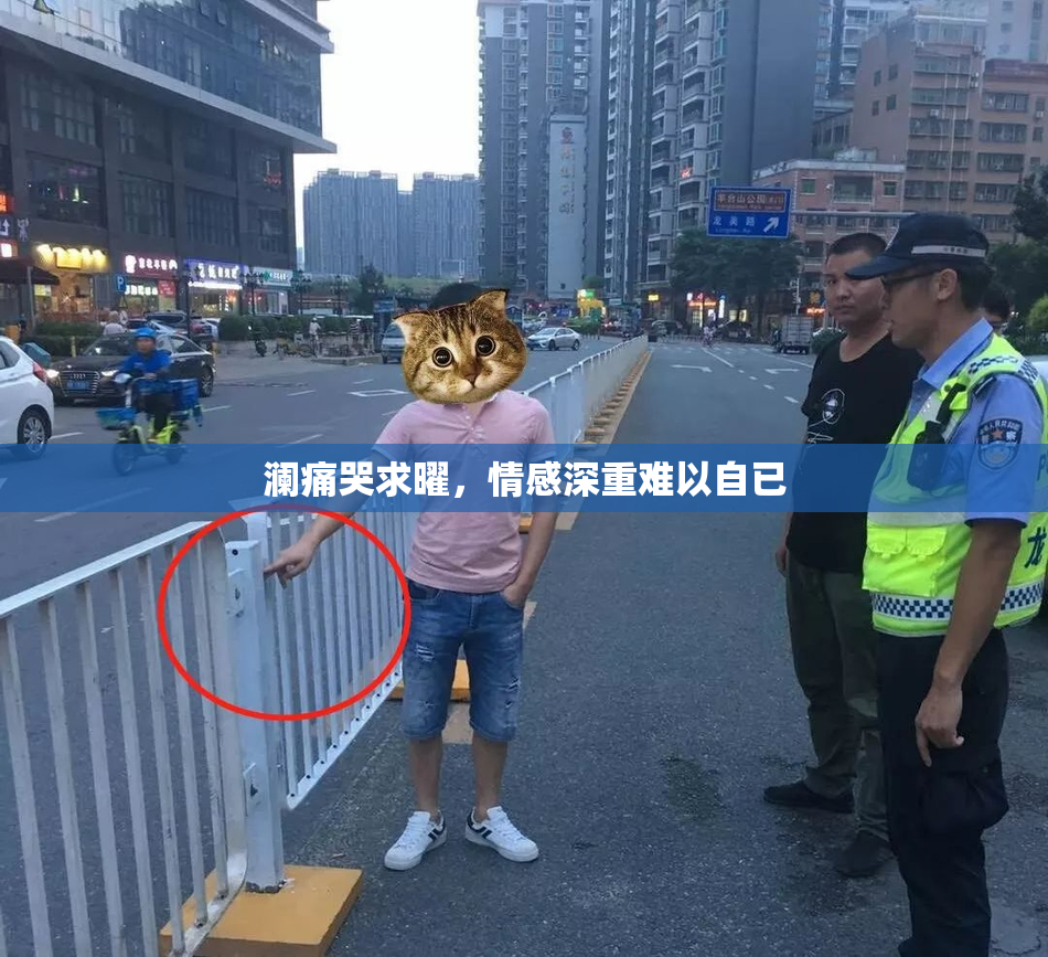 澜痛哭求曜，情感深重难以自已