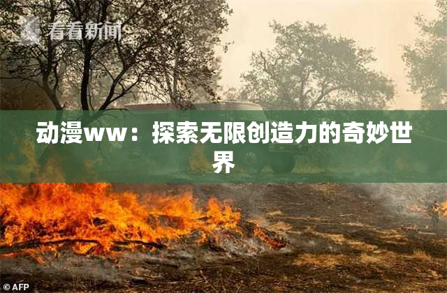 动漫ww：探索无限创造力的奇妙世界