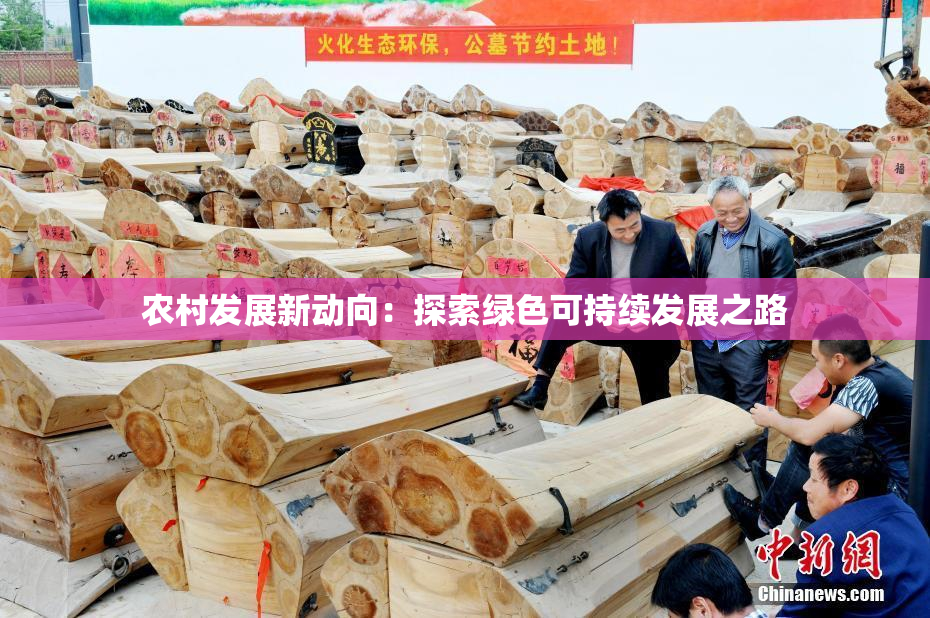 农村发展新动向：探索绿色可持续发展之路