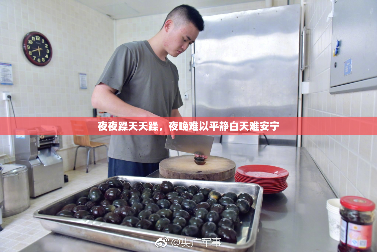 夜夜躁天天躁，夜晚难以平静白天难安宁