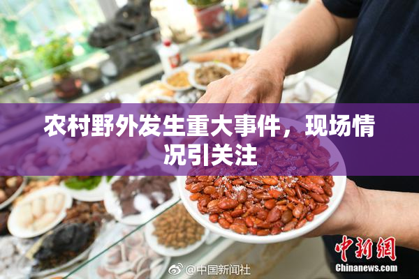农村野外发生重大事件，现场情况引关注