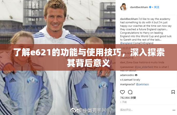 了解e621的功能与使用技巧，深入探索其背后意义