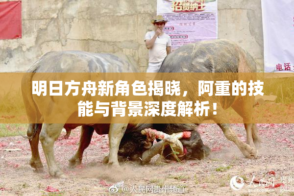 明日方舟新角色揭晓，阿重的技能与背景深度解析！
