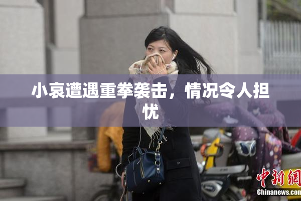 小哀遭遇重拳袭击，情况令人担忧