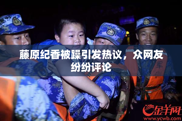 藤原纪香被躁引发热议，众网友纷纷评论