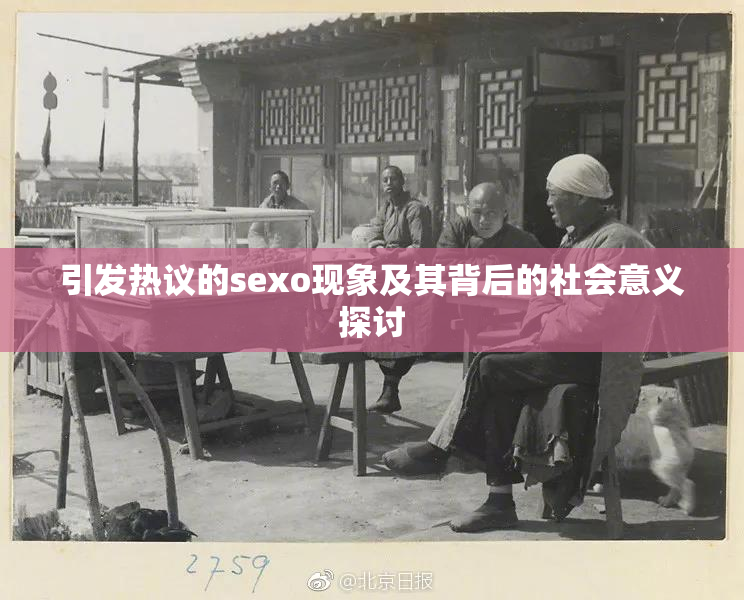 引发热议的sexo现象及其背后的社会意义探讨