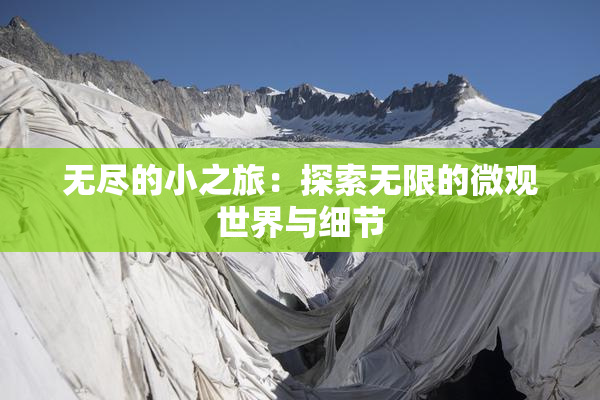 无尽的小之旅：探索无限的微观世界与细节