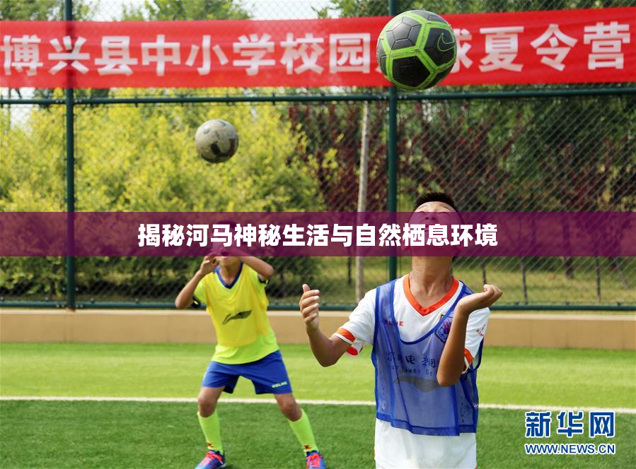 揭秘河马神秘生活与自然栖息环境