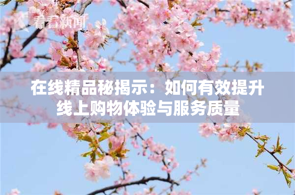 在线精品秘揭示：如何有效提升线上购物体验与服务质量