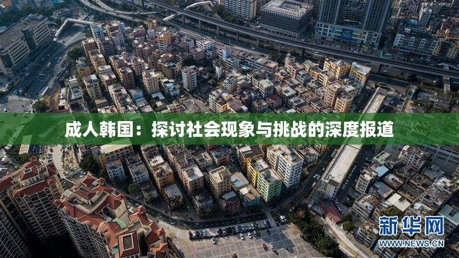 成人韩国：探讨社会现象与挑战的深度报道