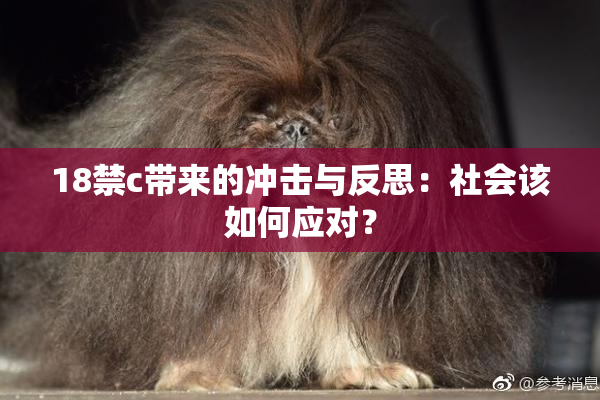 18禁c带来的冲击与反思：社会该如何应对？