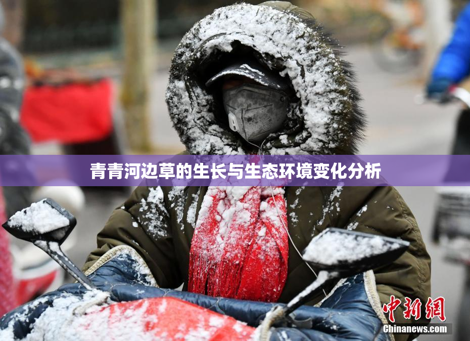 青青河边草的生长与生态环境变化分析