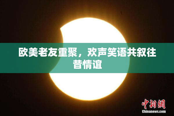 欧美老友重聚，欢声笑语共叙往昔情谊