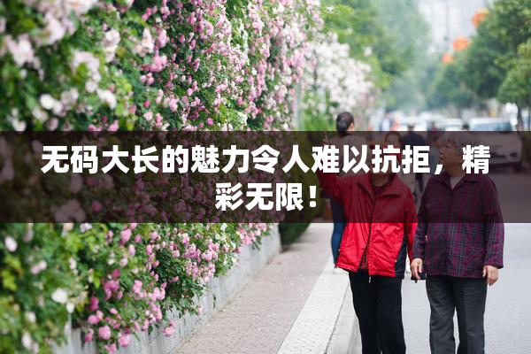 无码大长的魅力令人难以抗拒，精彩无限！