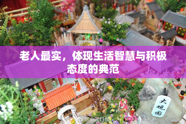 老人最实，体现生活智慧与积极态度的典范