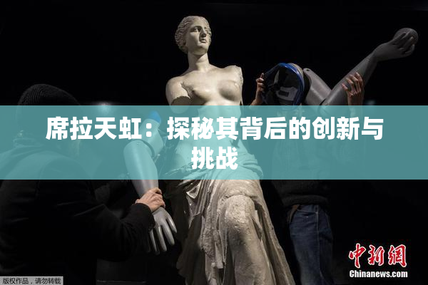 席拉天虹：探秘其背后的创新与挑战